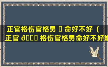 正官格伤官格男 ☘ 命好不好（正官 🍀 格伤官格男命好不好婚姻）